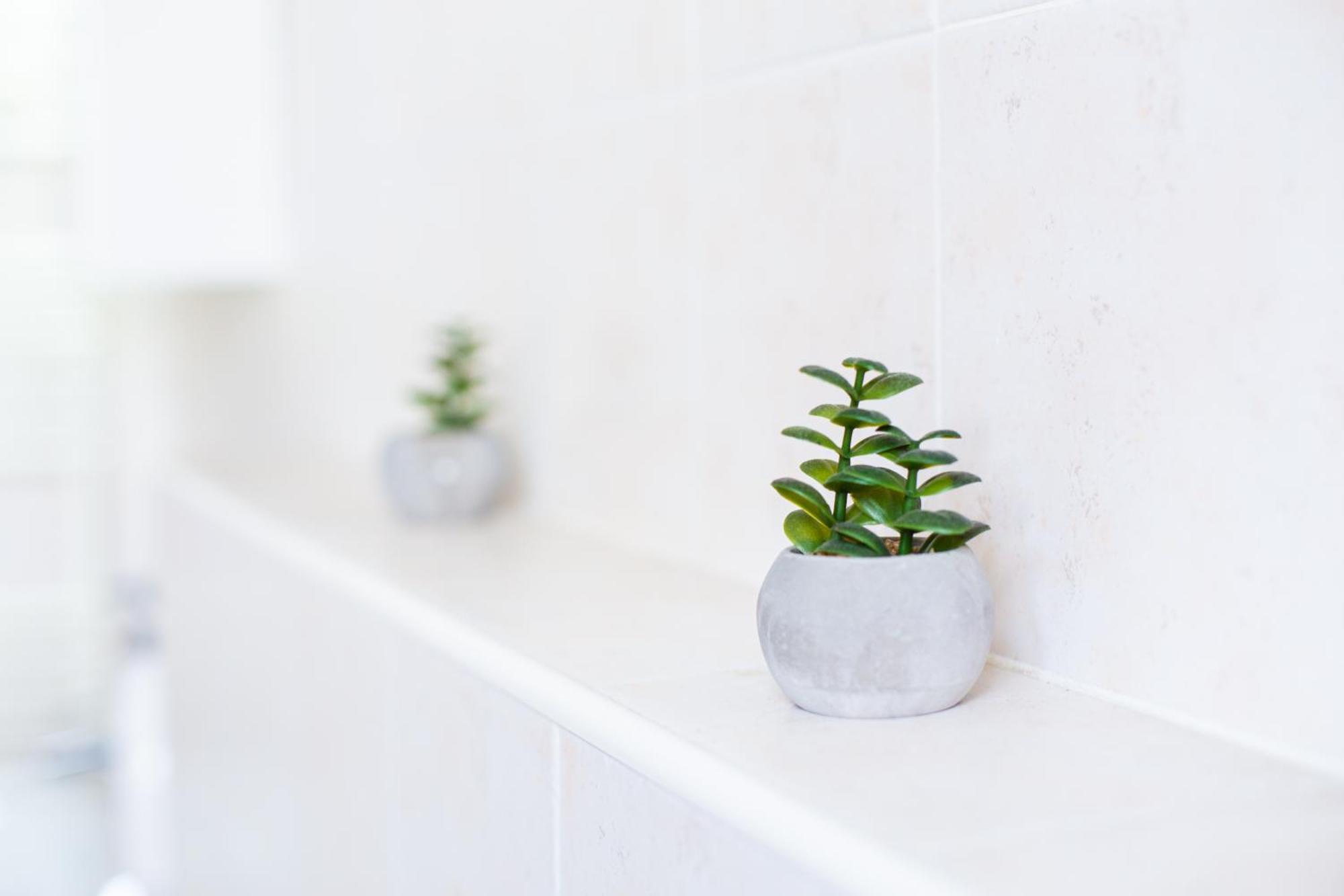 Ring Apartament